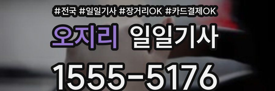 오지리 일일기사