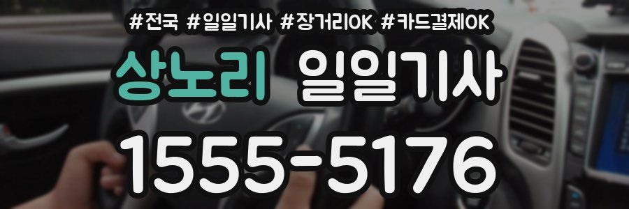 상노리 일일기사