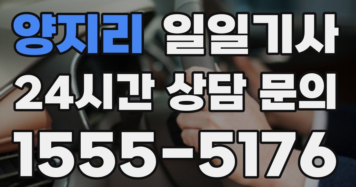 일일대리기사