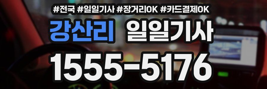 강산리 일일기사