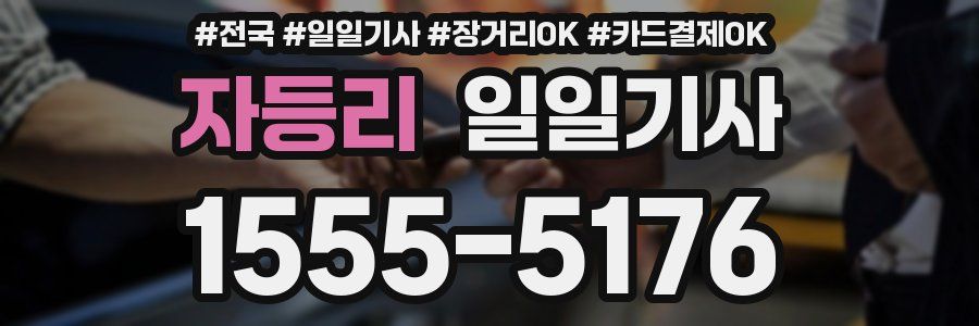 자등리 일일기사