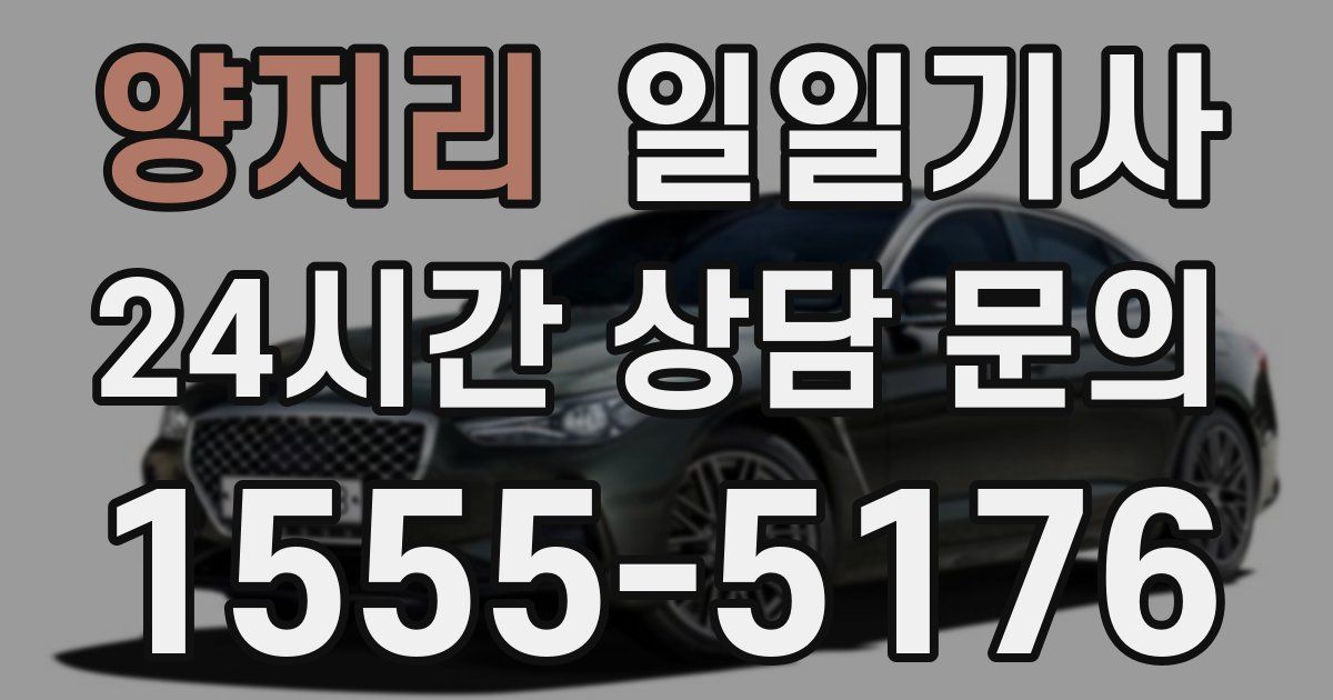 일일대리기사