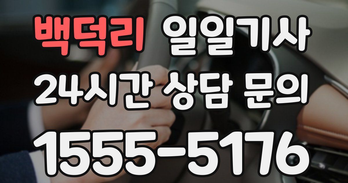 일일대리기사