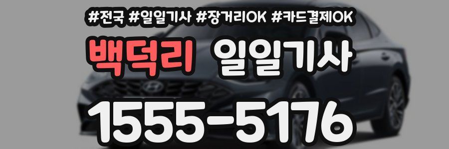 백덕리 일일기사