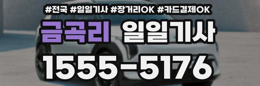 금곡리 일일기사