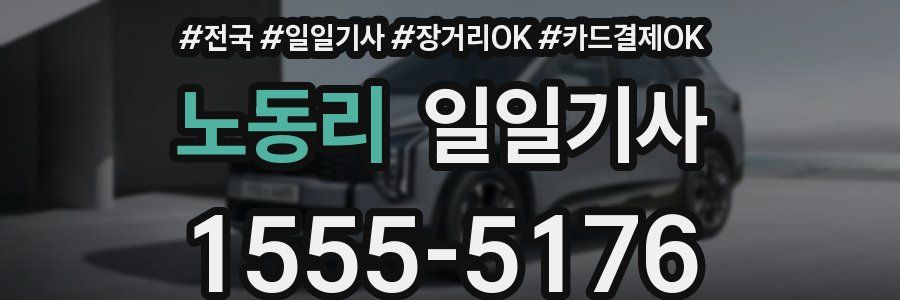 노동리 일일기사