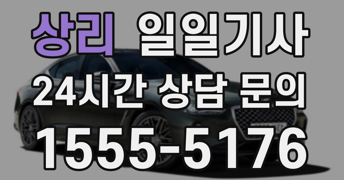 일일대리기사