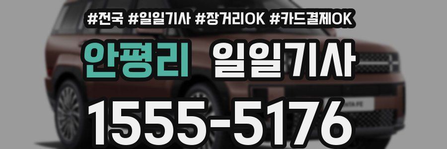 안평리 일일기사