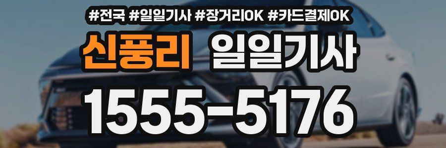 신풍리 일일기사