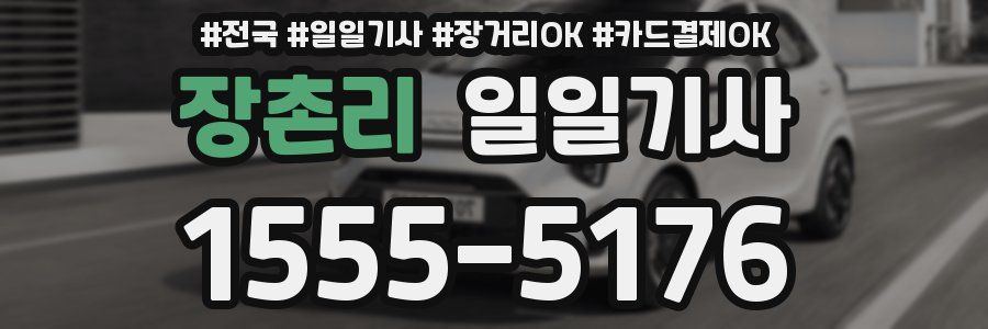 장촌리 일일기사