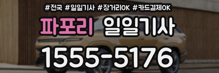 파포리 일일기사