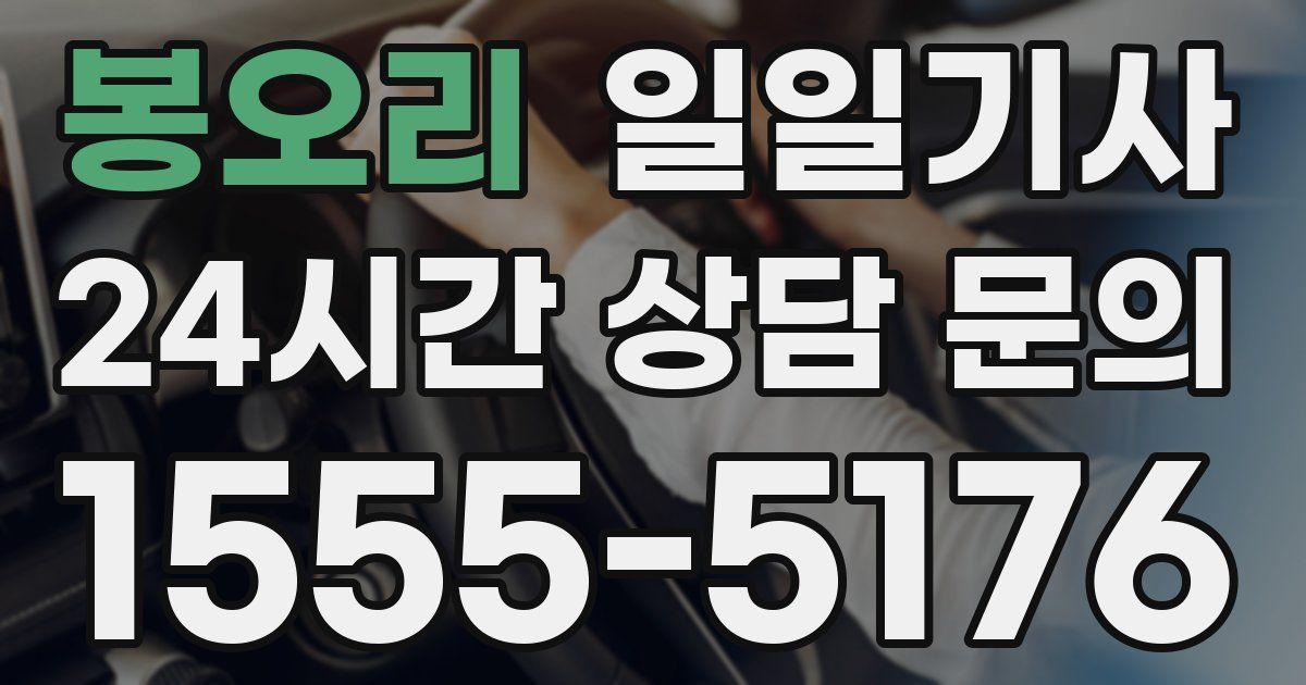 일일대리기사