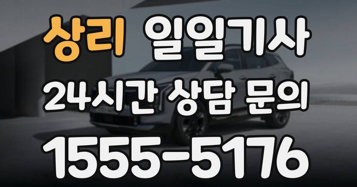 일일대리기사