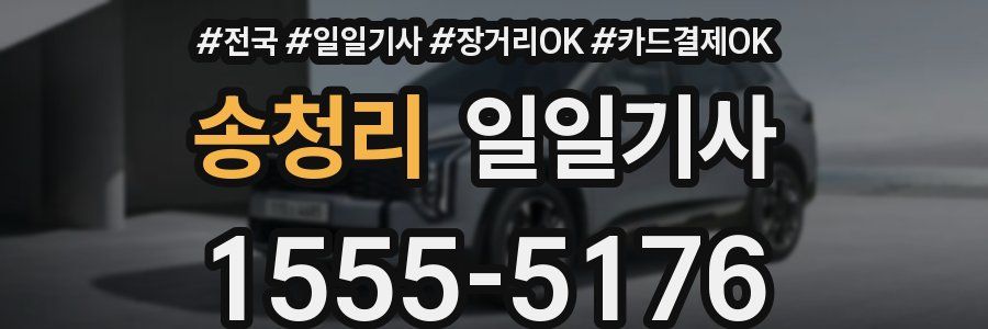 송청리 일일기사