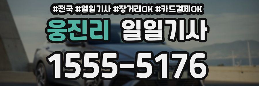 웅진리 일일기사