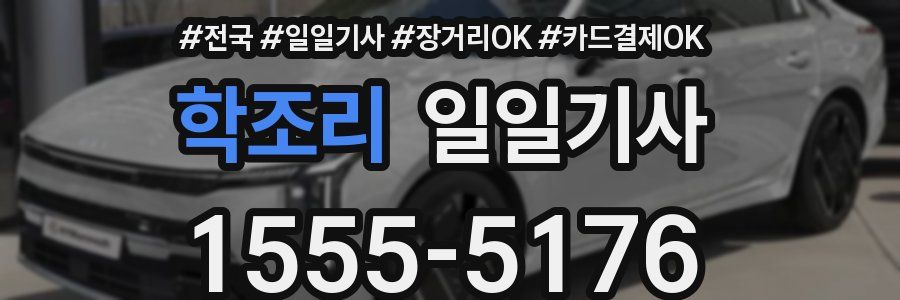 학조리 일일기사