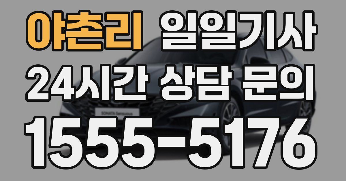 일일대리기사