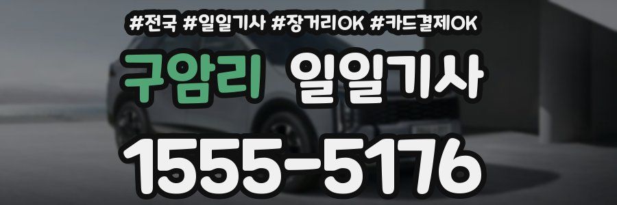 구암리 일일기사