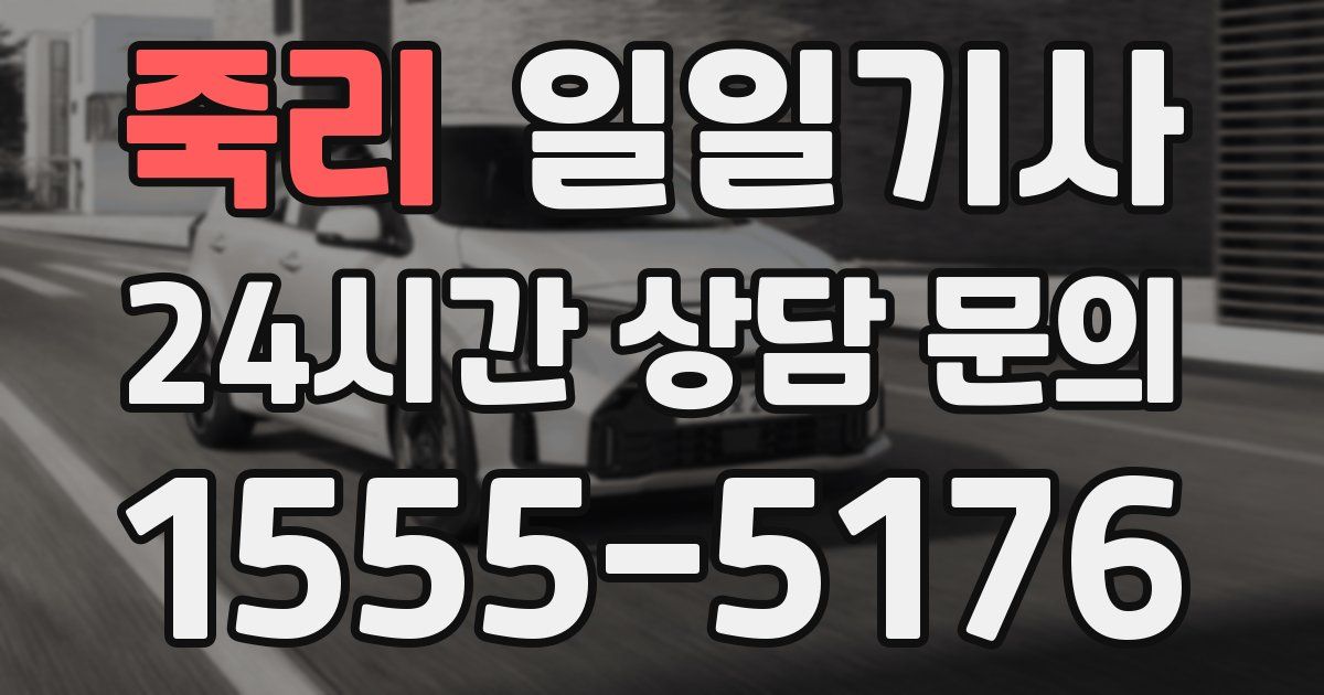 일일대리기사