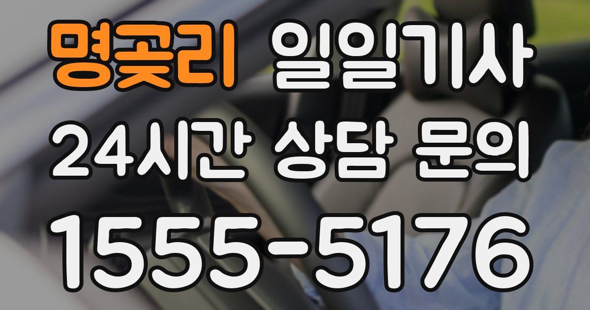 일일대리기사