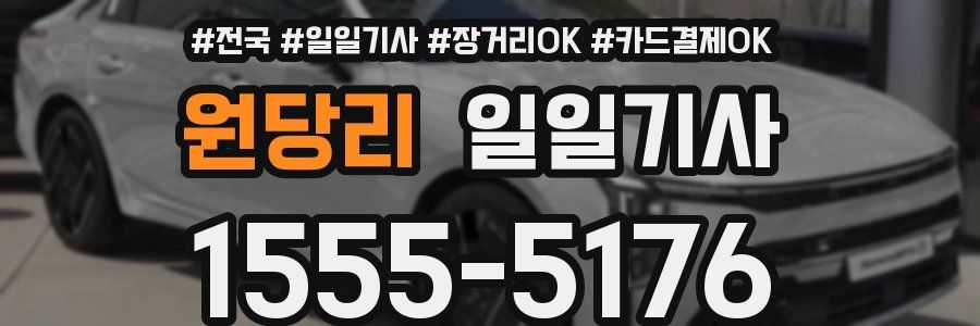 원당리 일일기사