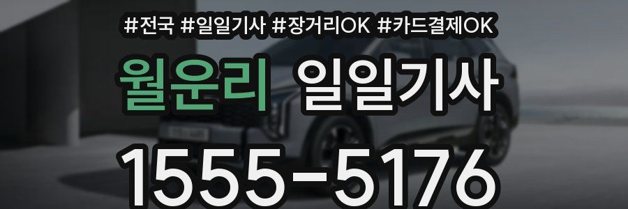 월운리 일일기사