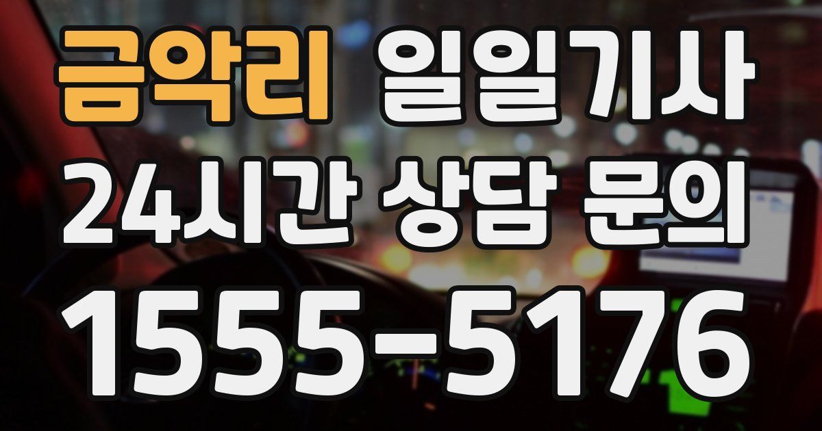 일일대리기사