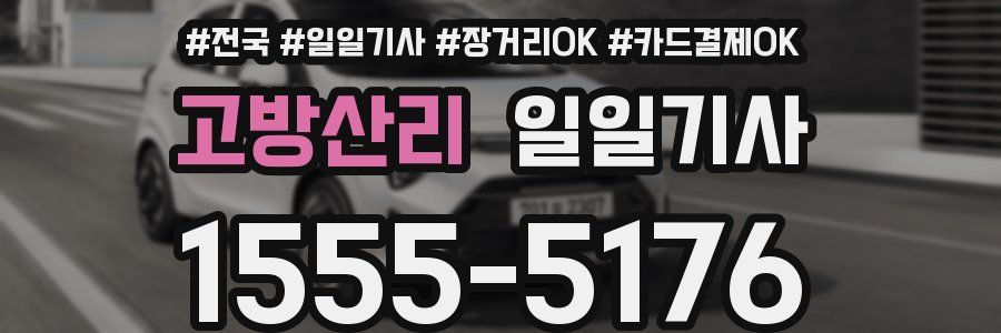 고방산리 일일기사