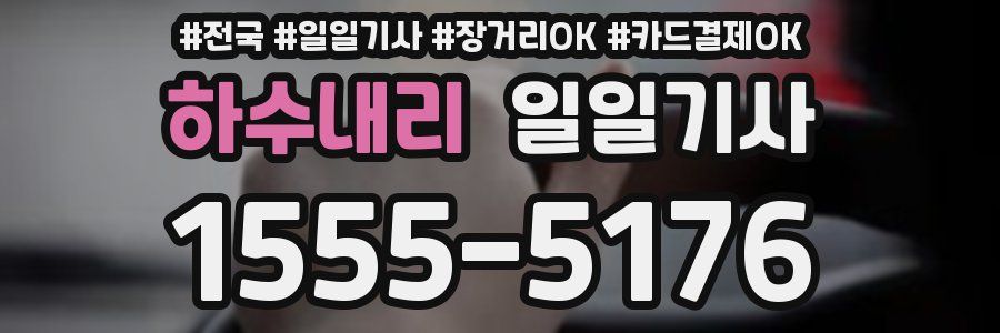 하수내리 일일기사