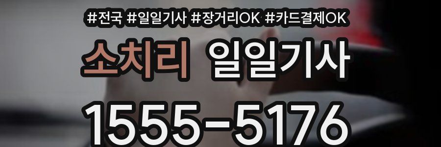 소치리 일일기사