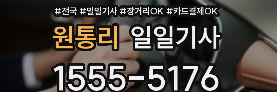 원통리 일일기사