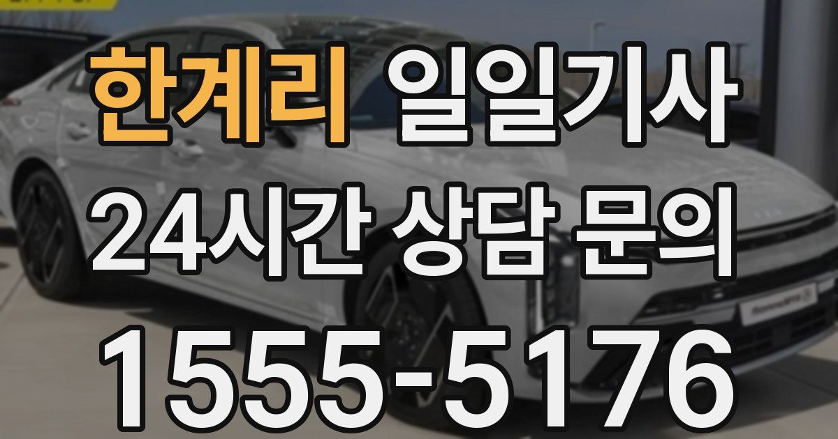 일일대리기사