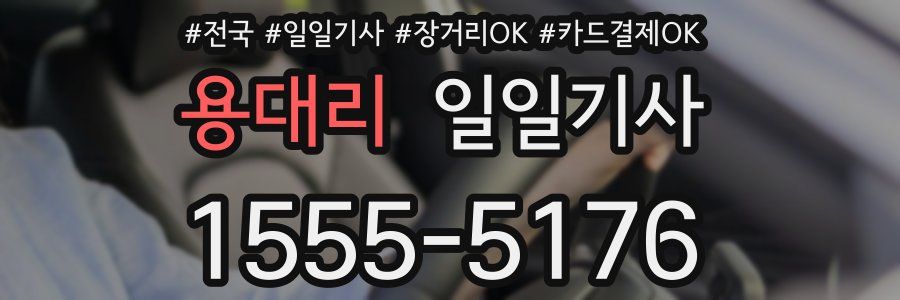 용대리 일일기사