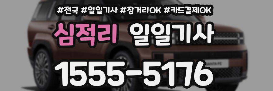 심적리 일일기사