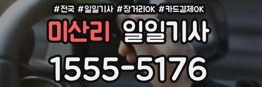 미산리 일일기사