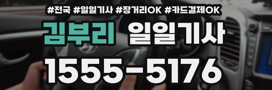 김부리 일일기사