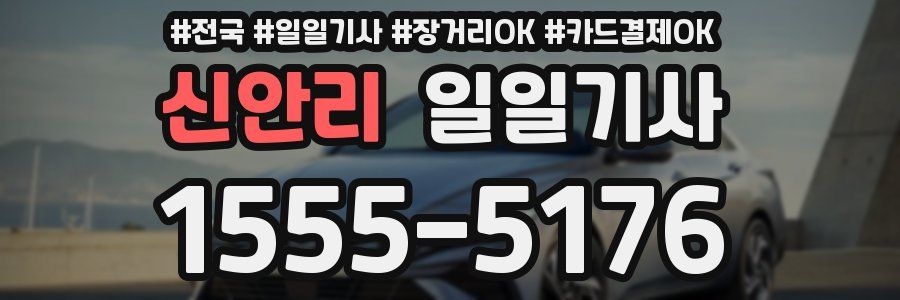 신안리 일일기사