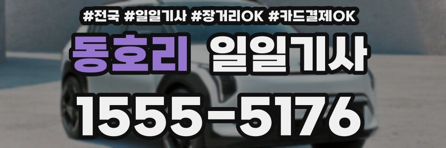 동호리 일일기사