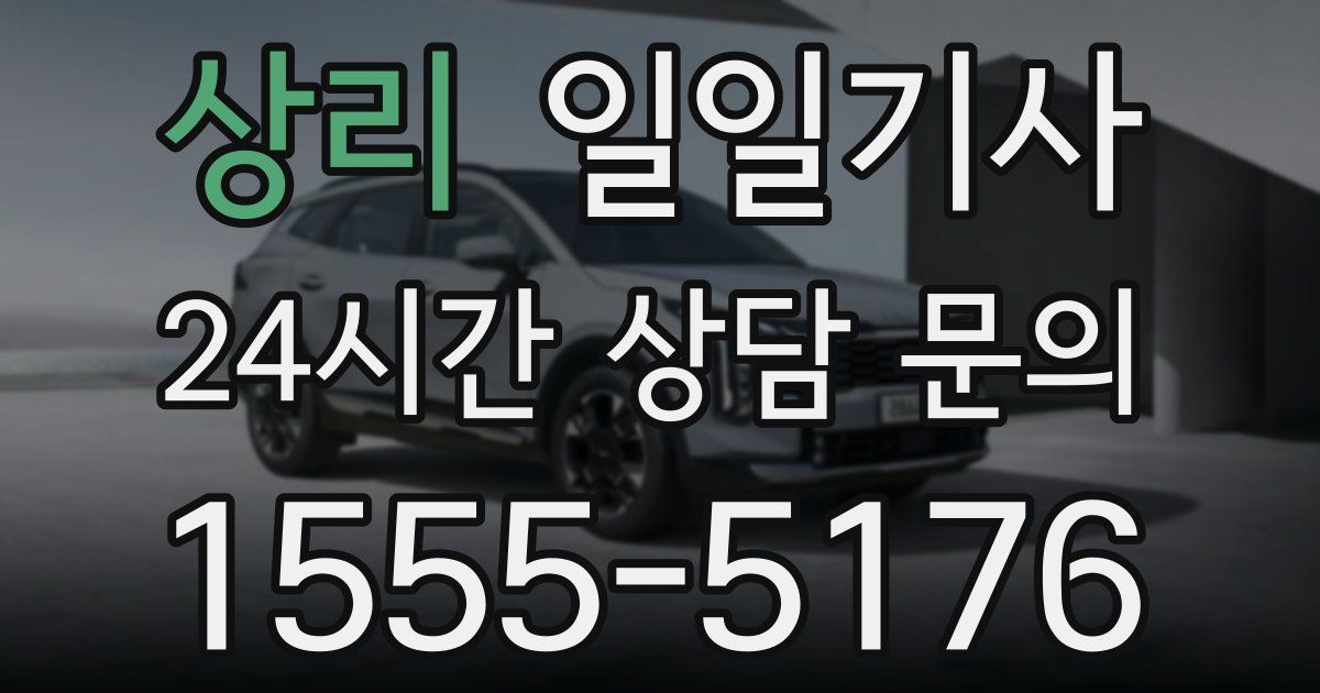일일대리기사