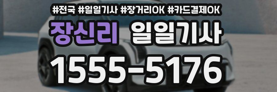 장신리 일일기사