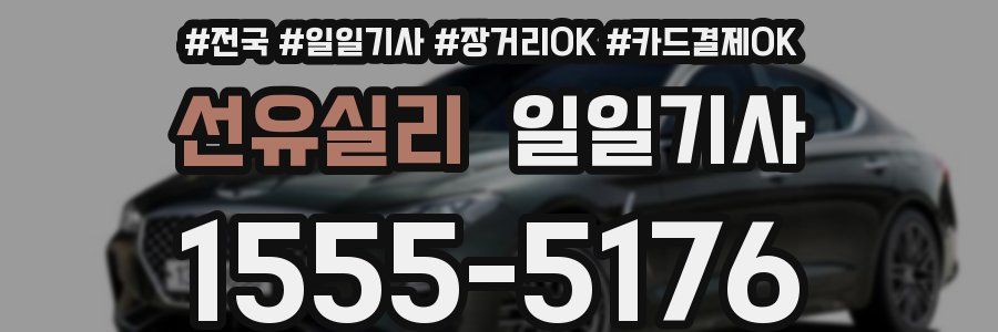 선유실리 일일기사