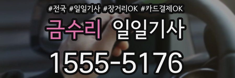 금수리 일일기사