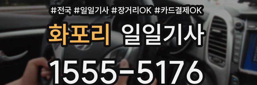 화포리 일일기사