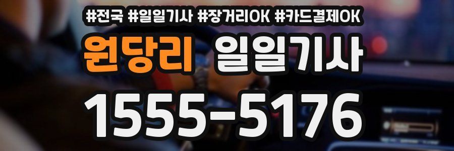 원당리 일일기사