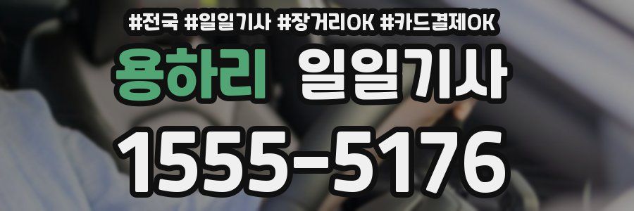 용하리 일일기사