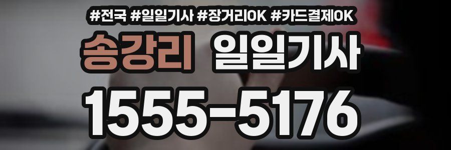 송강리 일일기사