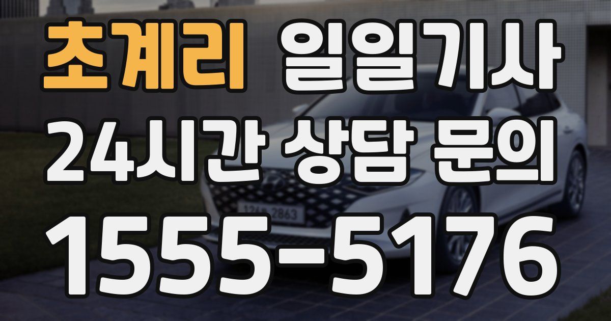 일일대리기사