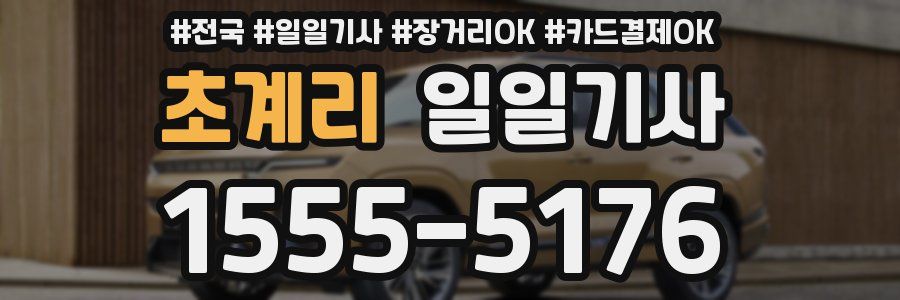 초계리 일일기사