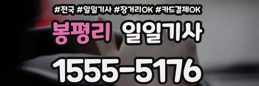 봉평리 일일기사