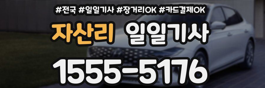 자산리 일일기사